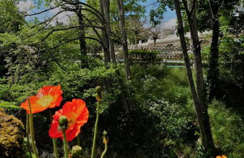 Chez Armande - Photo 10