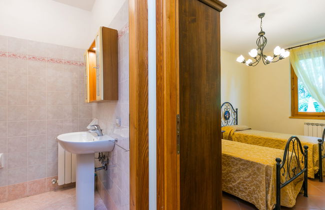 Rosa+Margherita+Lavanda+Ginestra+Gelsomi - Foto 23