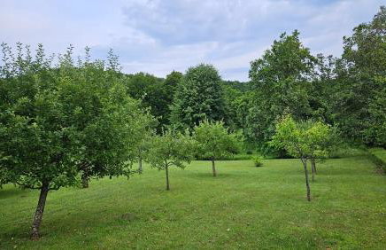 Apartment Andrea - Foto 35