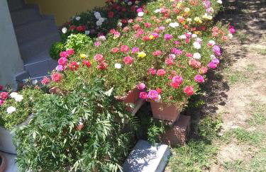 Martha's Villa - Foto 50