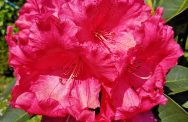 Apartamentos Rurales Villa del Sain Cudillero - Foto 73