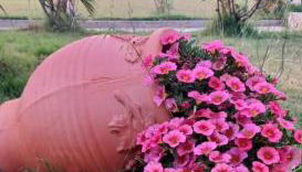 Aktaion Apartments - Foto 4