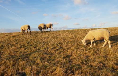 Bungalow Loos - Foto 16