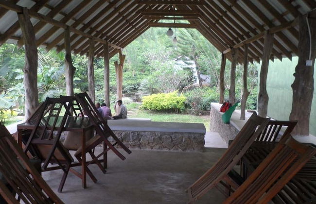 Yoho Rain Forest Eco Lodge - Foto 7
