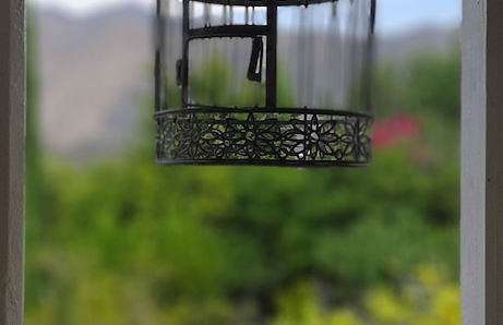 Abigails Garden Cottage - Foto 31