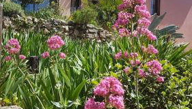 Bastide Cigaline - Foto 2, Garden