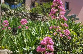 Bastide Cigaline - Foto 2