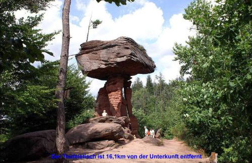 FeWo Pfälzer Felsenlandschaft - Foto 37