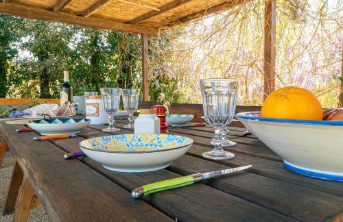 Casa RiVa - Among olive trees and the Tuscan coast - Photo 45