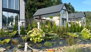 Osada Szara Wadera - Foto 1