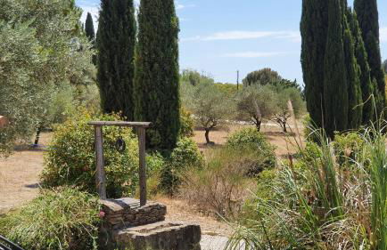 Terres du Baguier - Foto 36