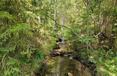 Chata góralska Wojtasówka - Foto 72
