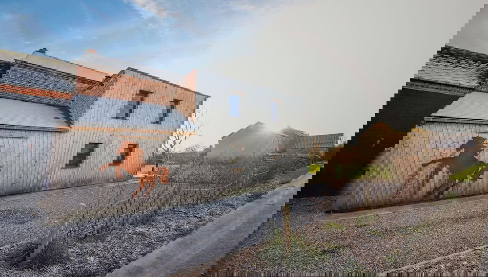 Family Retreat Near Haltinne - Foto 1, Profilbild