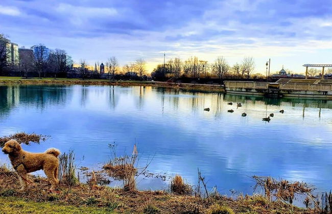 Boardwalk- Large Modern Unit With King bed Fast Wifi Free Coffee and Easy Parking - Foto 16