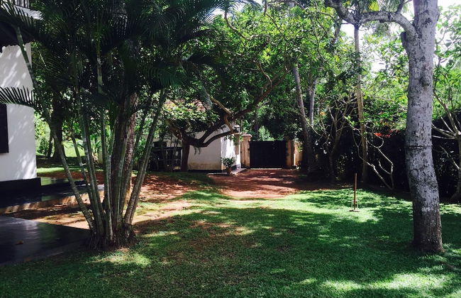 Galle Henna Estate - Foto 35