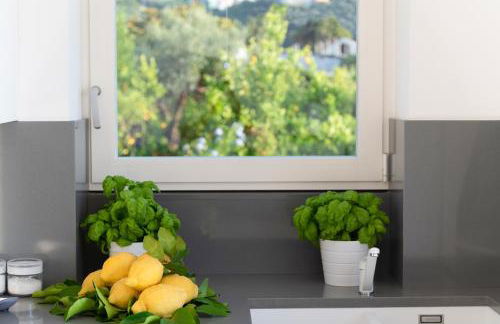 La Minucciola - Photo 16