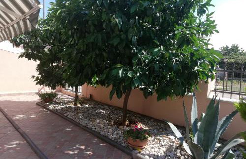 Apartments Merlin - Foto 6