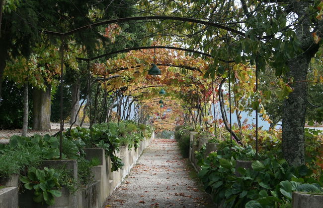 Quinta da Cumieira - Foto 34