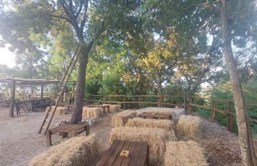 Agriturismo Quota 700 - Foto 8