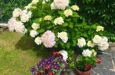 Le Betulle - Foto 35