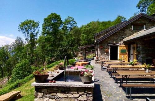 Il GLICINE - Foto 56