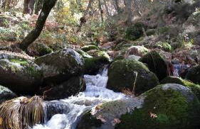 Casa Rural con encanto "Los Postigos" - Foto 96