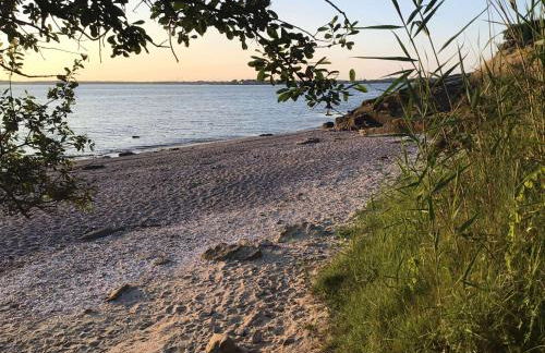 île Bacchus - Foto 14