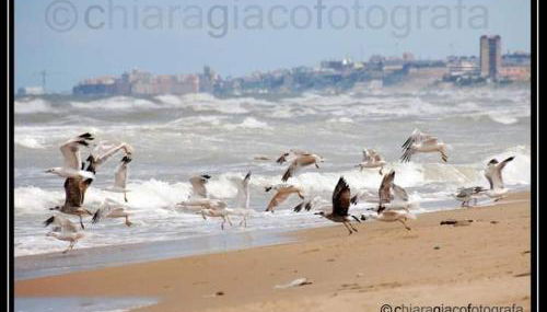 Don Alfonso Apartaments - Foto 2