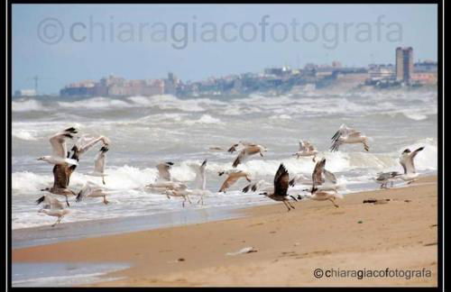 Don Alfonso Apartaments - Foto 2