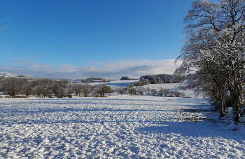 Rhedyn - Cosy Fishing Lodge Near Aberaeron - Photo 16