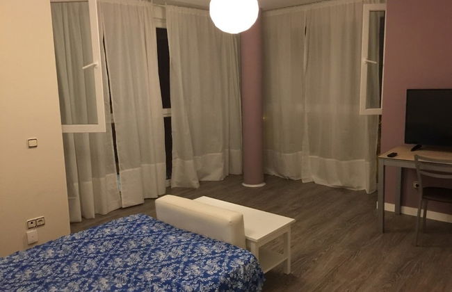 Aparthotel Ciudad de Aranda - Foto 3