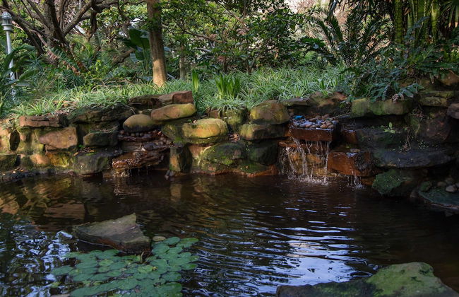 302 Oyster Schelles - Foto 27