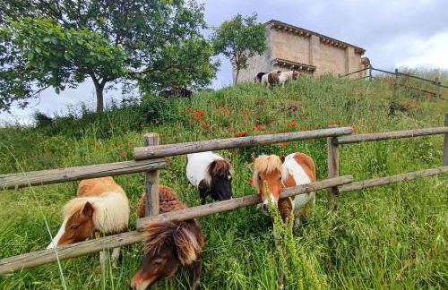 Suite Curry - Photo 25