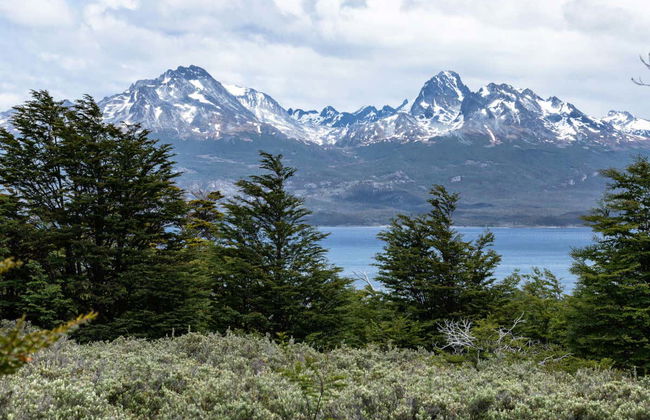 Tierra del Fuego National Park Tour - Photo 4