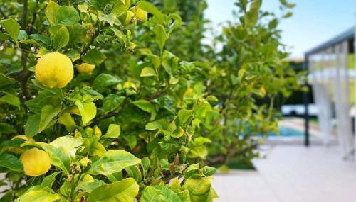 Casa Schaefer - Wunderschönes Haus mit Pool in der Nähe von Palma - Foto 3