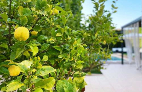 Casa Schaefer - Wunderschönes Haus mit Pool in der Nähe von Palma - Foto 3