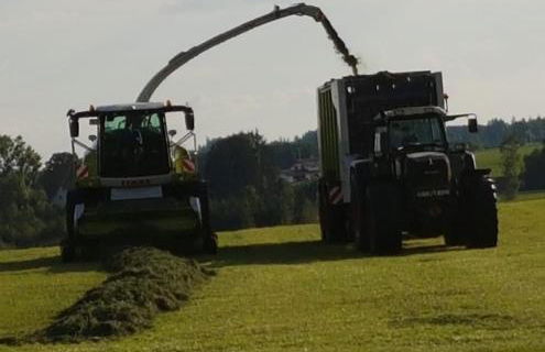 Ferienhof Broger FeWo Bergblickle mit Pool - Foto 65