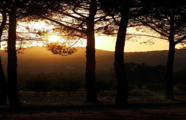 Apartment in Umbria Near Lake Trasimeno - Photo 39