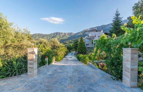 Studios Vasilia - Foto 4