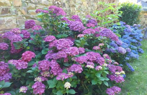 La Maison Neuve - Foto 9