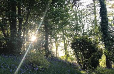 Lodge with log burner Contractors business private parking free Wi-Fi near M4 - Foto 65