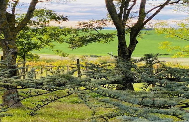 Apartment Amidst Vineyards & Blue Skies - Foto 37