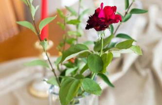 Villa Apocalypsis - Photo 33