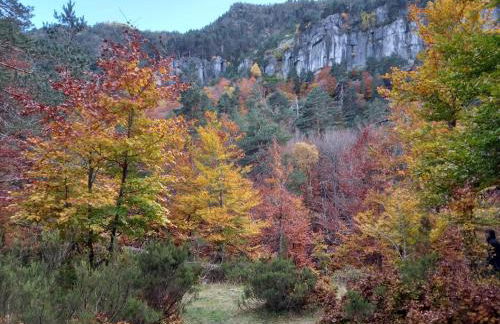 La casa del Alamo - Foto 21