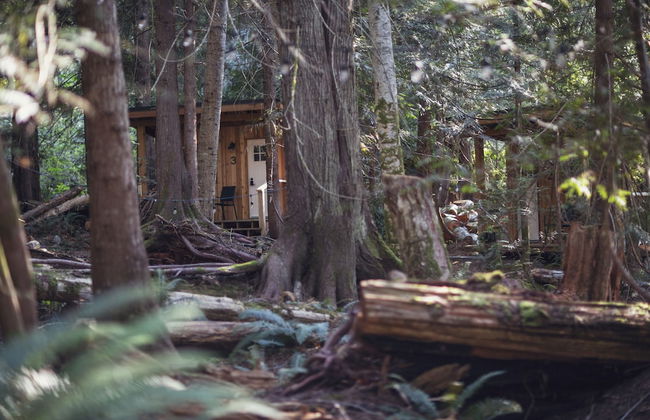 Heartwood Retreats - Foto 43