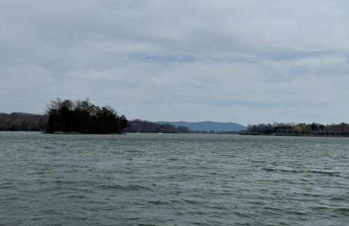 Hidden gem at the lake 4 bedrooms - Foto 27
