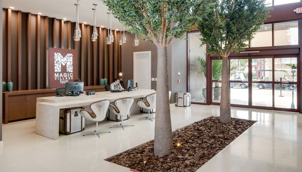 Entrada (vista interior)