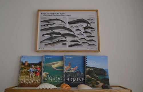 Casinha Secreta - A Gema Escondida da Santa Luzia - Foto 18