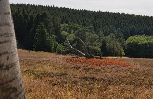 Ferienhaus Christina - Foto 29