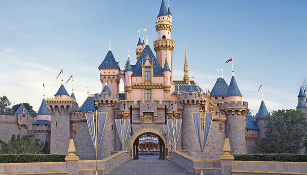 Entrada a Disneyland Resort - Foto 4